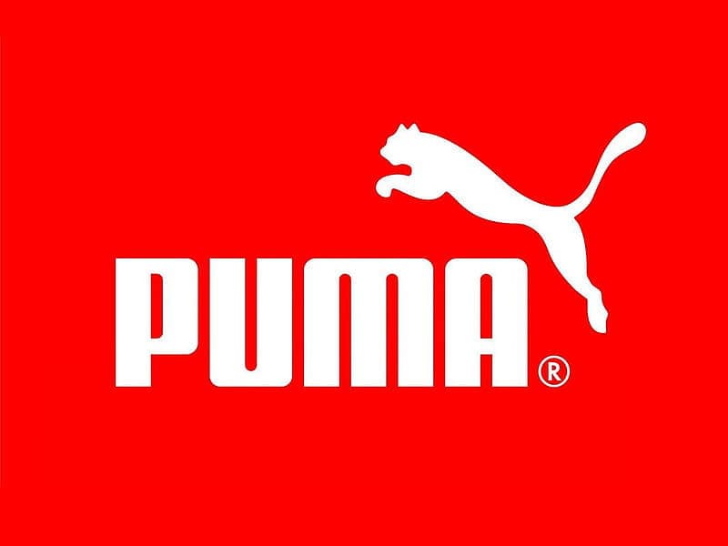 Puma - Slide 1